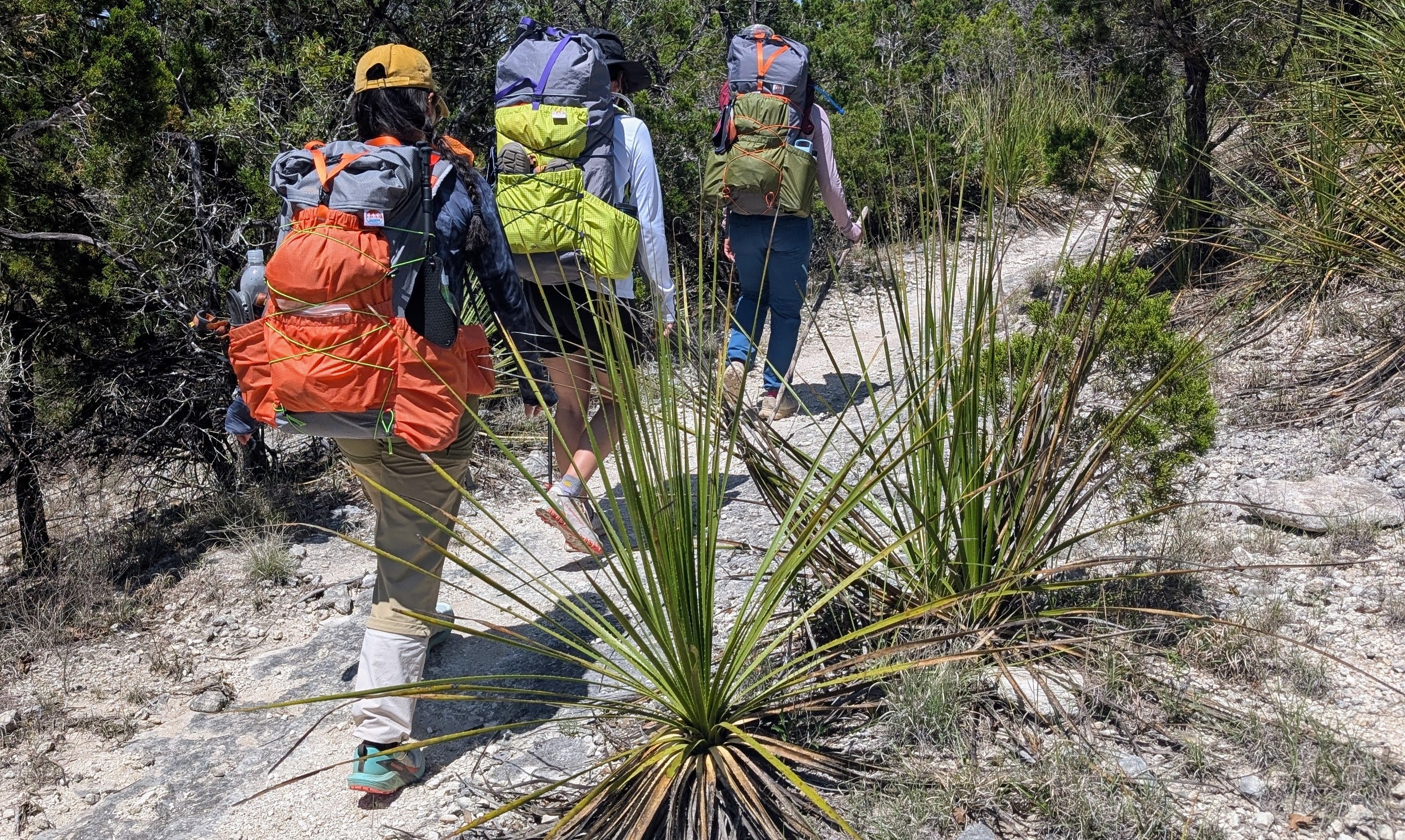Three hikers with large backpacks walking on a trail in Texas hill country.